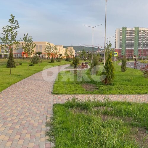 Фото №28: 1-комнатная квартира 30 м² - Анапа, жилой комплекс Горгиппия, ул. Адмирала Пустошкина, 22с1