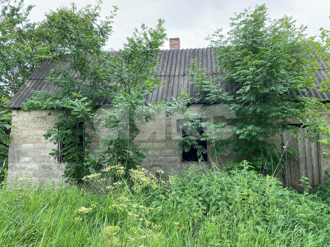 Фото №3: Личное подсобное хозяйство 1034 сот. - Советская, ул. Ленина, 468