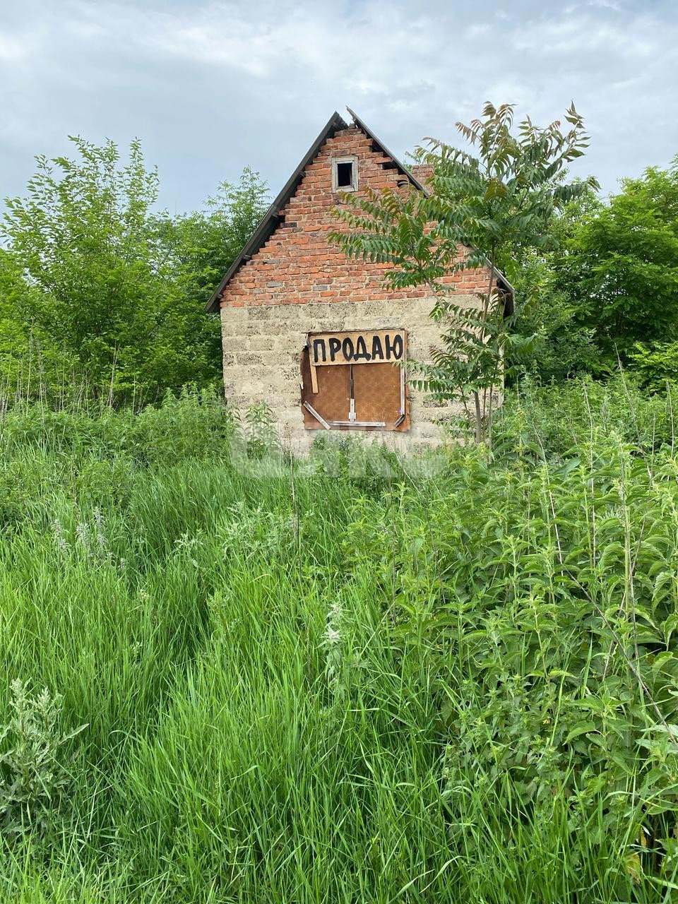 Фото №2: Личное подсобное хозяйство 1034 сот. - Советская, ул. Ленина, 468