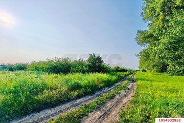 Фото №4: Участок садоводство 4 сот. - Агроном, ул. Юбилейная, 4