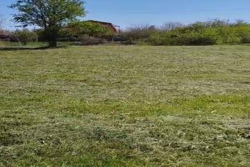 Фото №3: Земельный участок 8 сот. - Берег Кубани ВНИИ риса, мкр. Прикубанский внутригородской округ, ул. Калиновая, 19