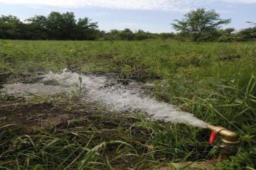 Фото №2: Земельный участок 8 сот. - Берег Кубани ВНИИ риса, мкр. Прикубанский внутригородской округ, ул. Калиновая, 19