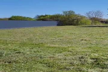 Фото №1: Земельный участок 8 сот. - Берег Кубани ВНИИ риса, мкр. Прикубанский внутригородской округ, ул. Калиновая, 19