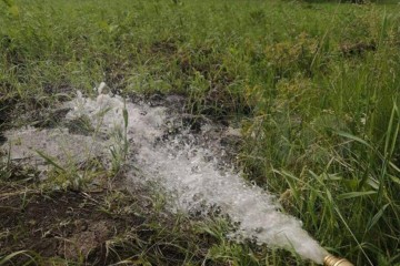 Фото №2: Участок садоводство 8 сот. - Берег Кубани ВНИИ риса, мкр. Прикубанский внутригородской округ, ул. Калиновая, 19