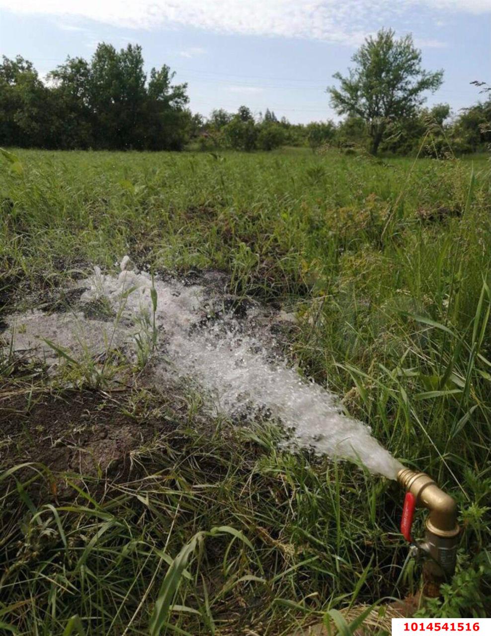 Фото №2: Участок садоводство 8 сот. - Берег Кубани ВНИИ риса, Прикубанский внутригородской округ, ул. Калиновая, 19