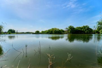 Фото №1: Коммерция 100 м² - Динская, мкр. Солнечный, 