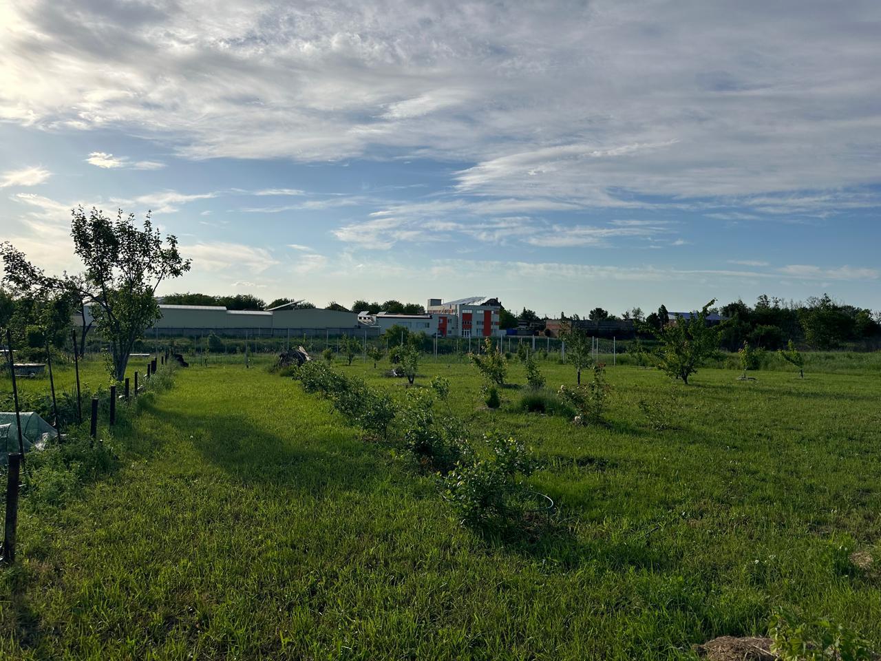 Фото №3: Коммерция 10 м² - Григорьевская