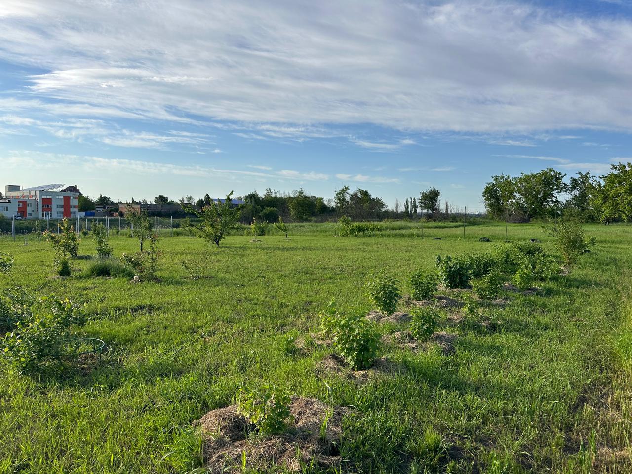 Фото №1: Коммерция 10 м² - Григорьевская