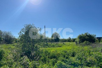 Фото №4: Личное подсобное хозяйство - Покровское, ул. Мичурина, 24