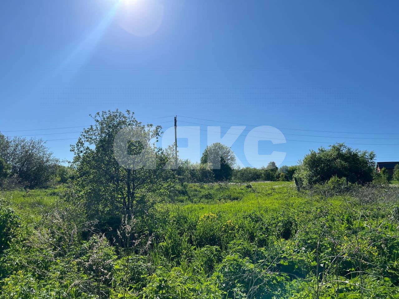 Фото №4: Личное подсобное хозяйство 51 сот. - Покровское, ул. Мичурина, 24