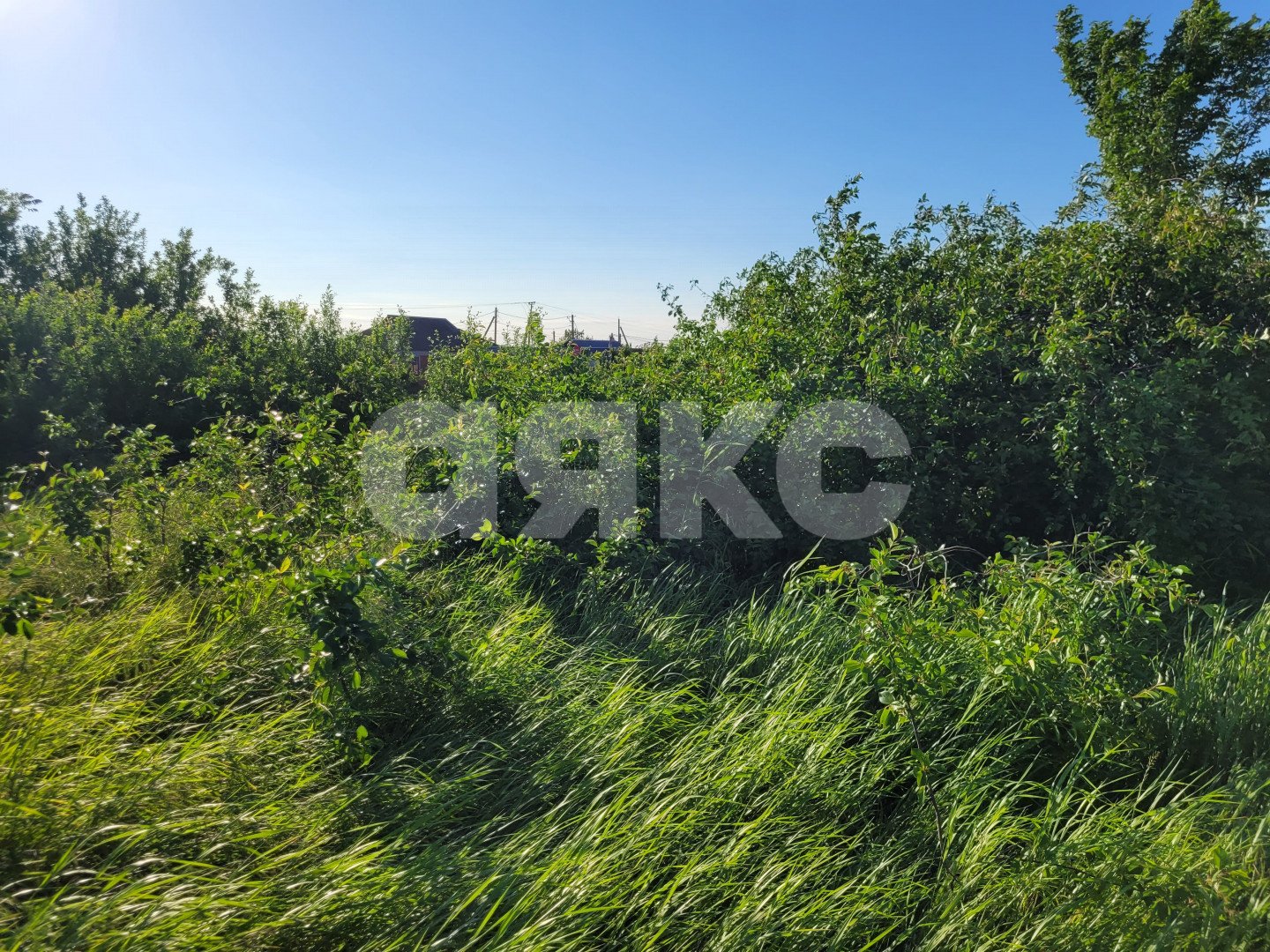 Фото №10: Земельный участок под ИЖС 15 сот. - Фонталовская, ул. Космонавтов