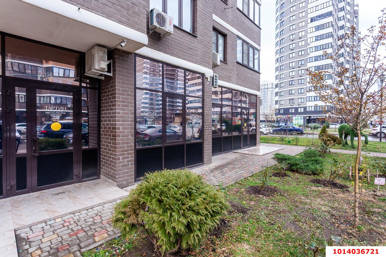 Фото №2: Торговое помещение 268 м² - Краснодар, жилой комплекс Дружный, 