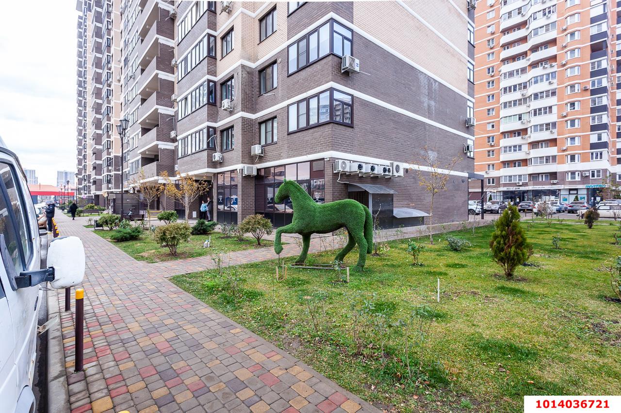 Фото №3: Торговое помещение 268 м² - Краснодар, жилой комплекс Дружный, 