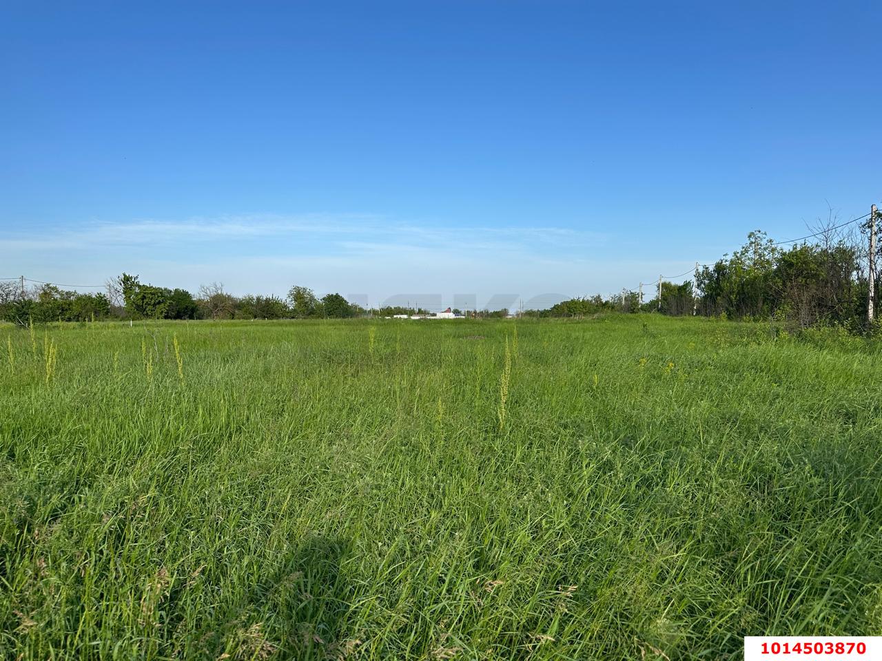 Фото №6: Земельный участок 10.76 сот. - Энем, мкр. СДТ Приозёрное, ул. Садовая, 109