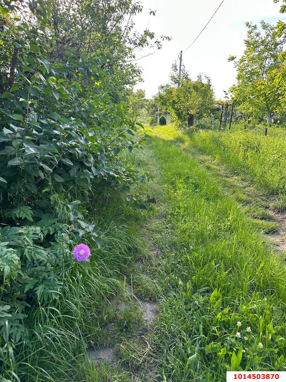 Фото №3: Земельный участок 10.76 сот. - Энем, мкр. СДТ Приозёрное, ул. Садовая, 109