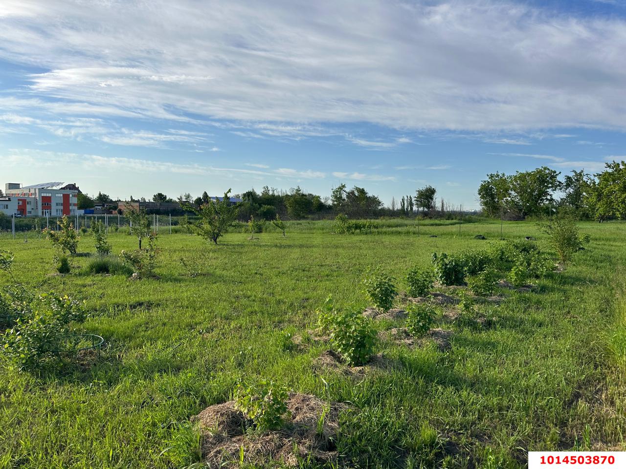 Фото №8: Земельный участок 10.76 сот. - Энем, мкр. СДТ Приозёрное, ул. Садовая, 109