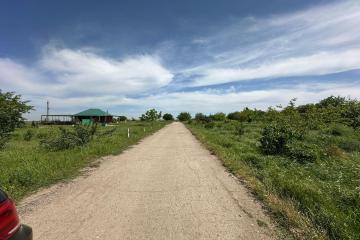 Фото №5: Земельный участок 20 сот. - Супс, 