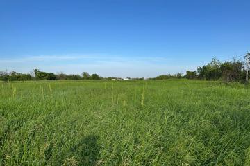 Фото №5: Коммерция 10 м² - Григорьевская, ул. Северная, 5