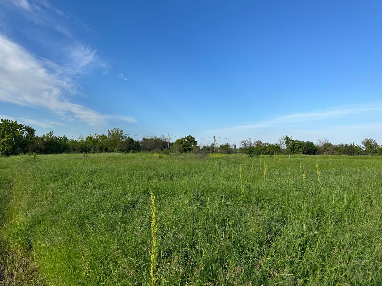 Фото №6: Коммерция 10 м² - Григорьевская, ул. Северная, 5