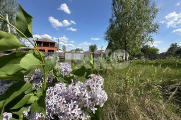 Фото №4: Земельный участок под ИЖС - Заболотье, ул. Песчаная, 6