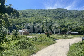 Фото №4: Личное подсобное хозяйство - Краснодарский край городской округ Геленджик