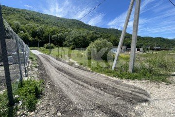 Фото №2: Личное подсобное хозяйство - Краснодарский край городской округ Геленджик