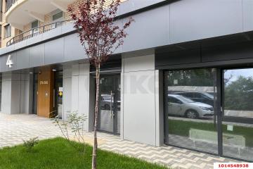 Фото №4: Коммерция 48 м² - Краснодар, мкр. Музыкальный, ул. Российская, 257/7