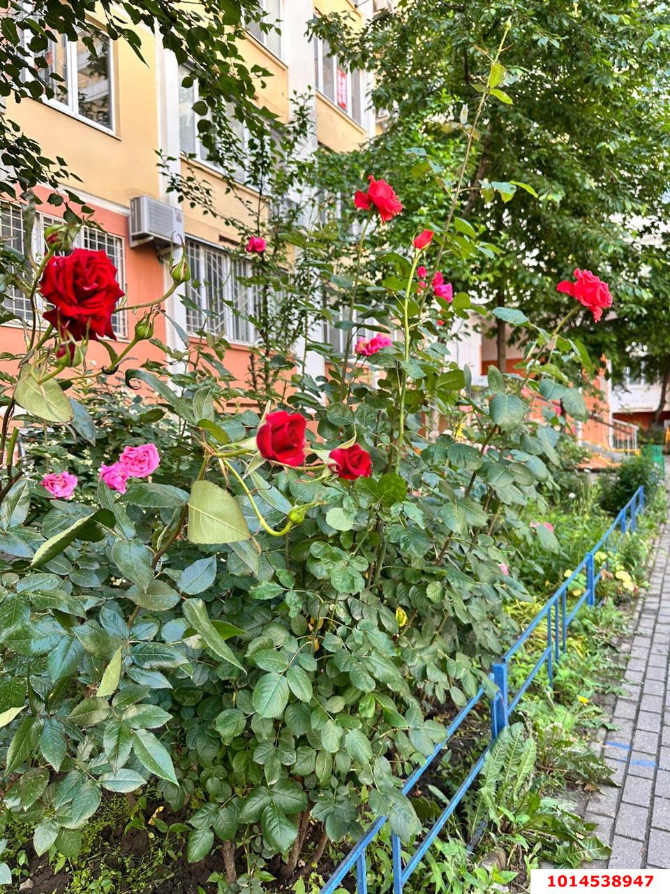 Фото №15: 2-комнатная квартира 65 м² - Краснодар, Фестивальный, ул. Совхозная, 18