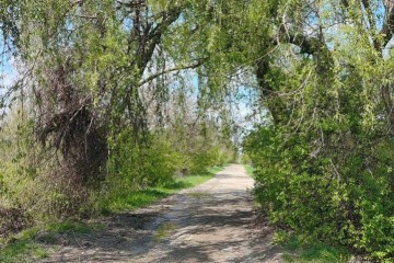 Фото №1: Участок садоводство 6.05 сот. - Елизаветинская, ст Проектировщик, ул. Новая