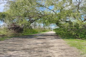 Фото №1: Земельный участок 6.05 сот. - Елизаветинская, ст Проектировщик, ул. Новая