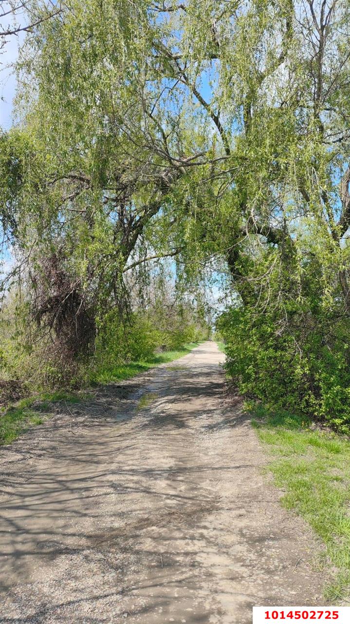 Фото №1: Земельный участок 6.05 сот. - Елизаветинская, Прикубанский внутригородской округ, ст Проектировщик, ул. Новая