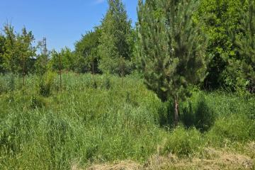 Фото №4: Земельный участок 9.61 сот. - Ленина, мкр. Карасунский внутригородской округ, ул. Огородная, 71