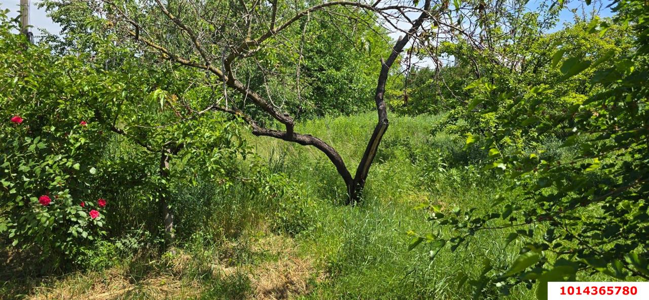 Фото №5: Земельный участок под ИЖС 9.61 сот. - Ленина, Карасунский внутригородской округ, ул. Огородная, 71