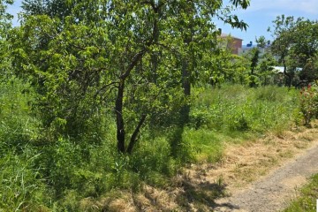 Фото №2: Земельный участок под ИЖС 9.61 сот. - Ленина, мкр. Карасунский внутригородской округ, ул. Огородная, 71