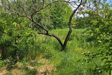 Фото №5: Земельный участок под ИЖС 9.61 сот. - Ленина, мкр. Карасунский внутригородской округ, ул. Огородная, 71