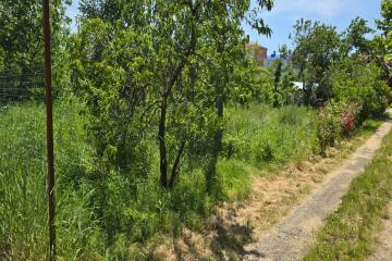 Фото №2: Земельный участок 9.61 сот. - Ленина, мкр. Карасунский внутригородской округ, ул. Огородная, 71