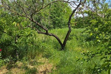 Фото №5: Земельный участок под ИЖС 9.61 сот. - Ленина, мкр. Карасунский внутригородской округ, ул. Огородная, 71