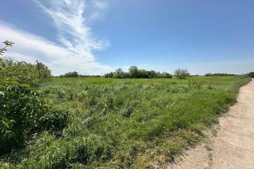 Фото №5: Земельный участок 10 сот. - Супс, 