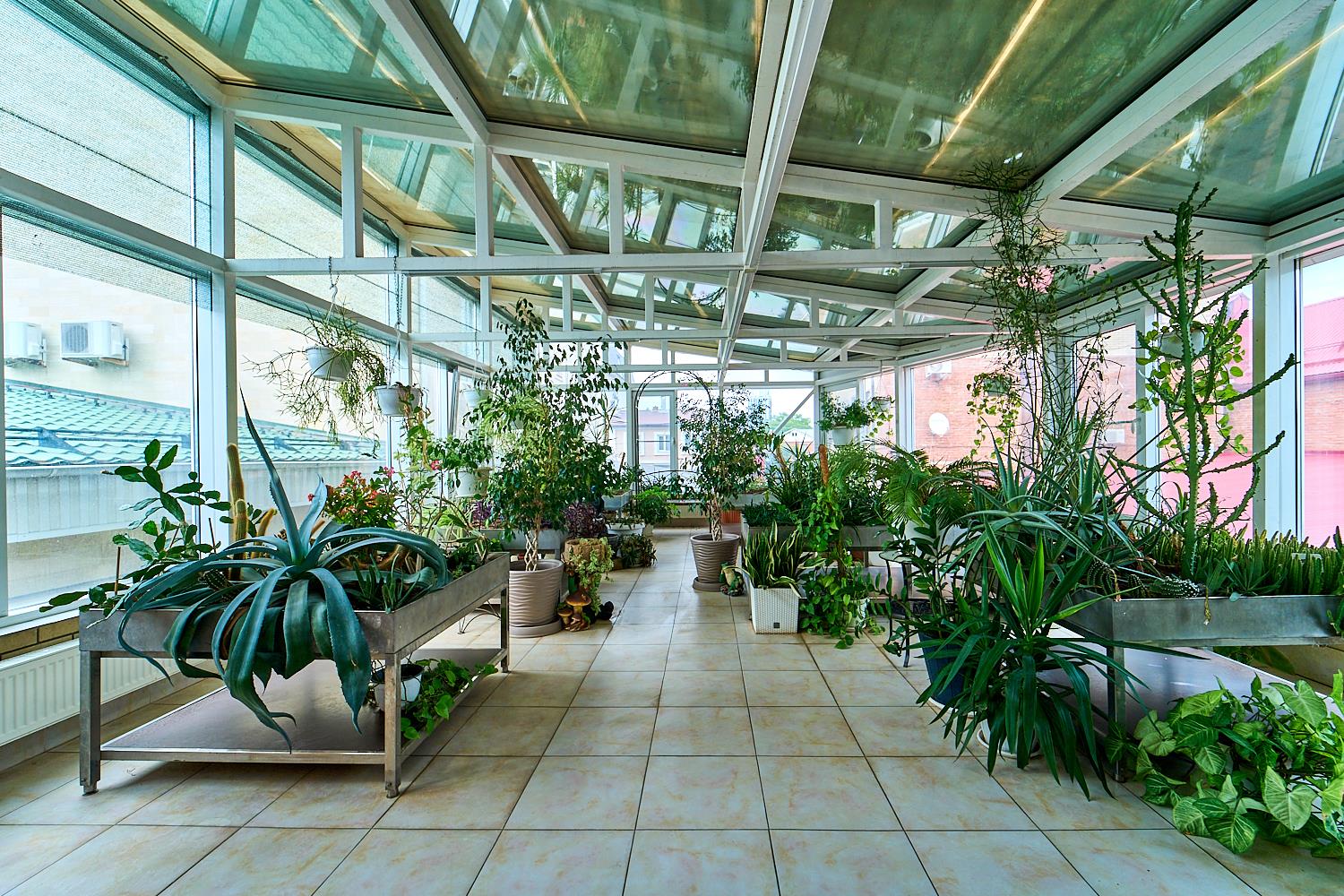 Фото №16: Коммерция 878 м² - Краснодар, Центральный внутригородской округ, Западный внутригородской округ, мкр. Центральный, ул. Чапаева, 70