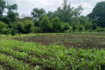 Фото №3: Дом 75 м² - Казазов, 