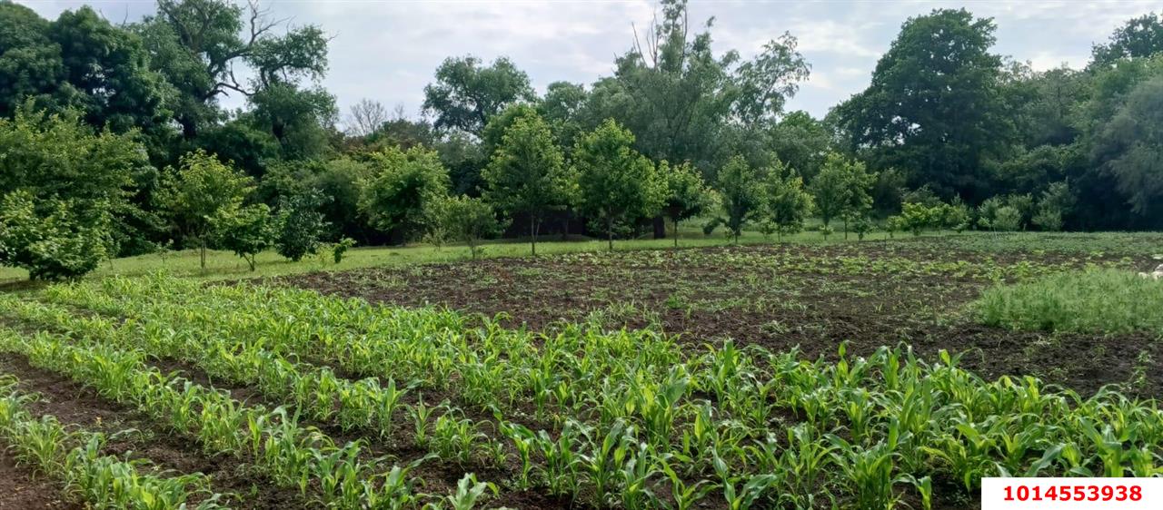 Фото №3: Дом 75 м² + 50 сот. - Казазов