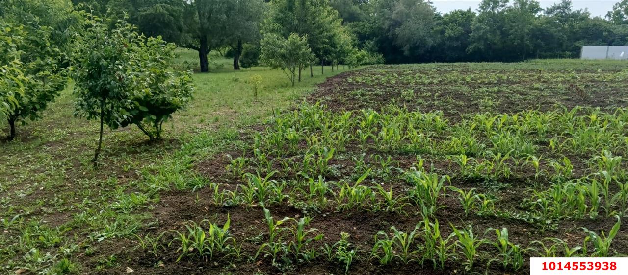 Фото №6: Дом 75 м² + 50 сот. - Казазов