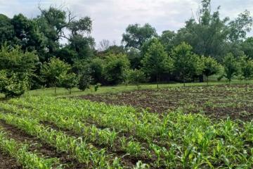 Фото №1: Дом 75 м² - Казазов, 