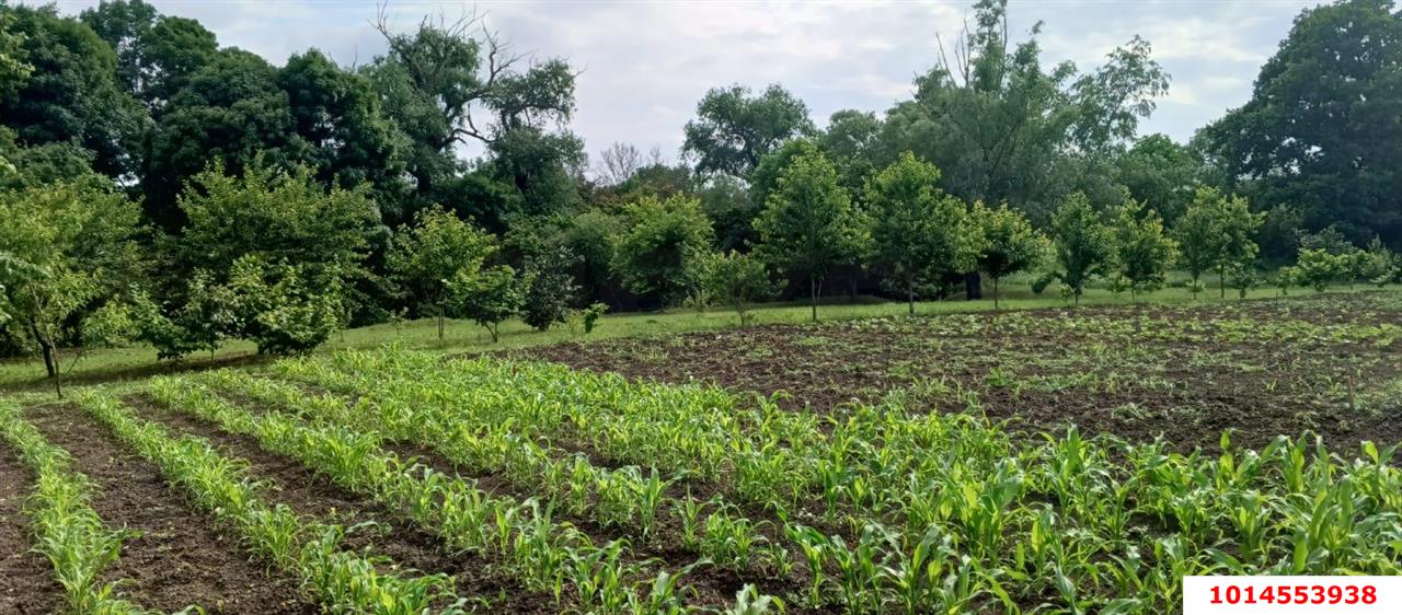 Фото №1: Дом 75 м² + 50 сот. - Казазов