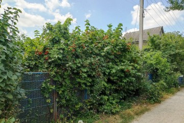 Фото №5: Дом 36 м² - Дружба, мкр. Карасунский внутригородской округ, ул. Абрикосовая, 131