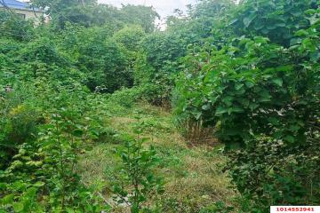 Фото №4: Дом 36 м² - Дружба, мкр. Карасунский внутригородской округ, ул. Абрикосовая, 131