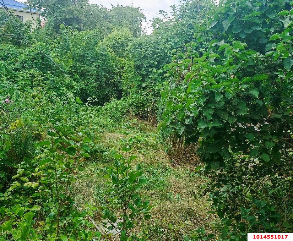 Фото №4: Участок садоводство 4.3 сот. - Дружба, Карасунский внутригородской округ, ул. Абрикосовая, 133