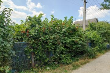 Фото №5: Земельный участок 4.3 сот. - Дружба, мкр. Карасунский внутригородской округ, ул. Абрикосовая, 133