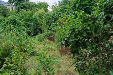 Фото №1: Участок садоводство 4.3 сот. - Дружба, мкр. Карасунский внутригородской округ, ул. Абрикосовая, 133