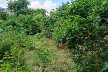 Фото №1: Земельный участок 4.3 сот. - Дружба, мкр. Карасунский внутригородской округ, ул. Абрикосовая, 133